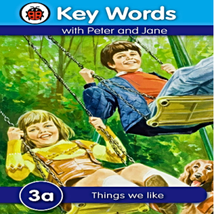 Things We Like: Key Words Reading Scheme 3A