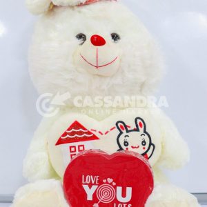 Teddy Bear with Russell Stover  Chocolate Box