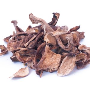 Porcini A Mushrooms