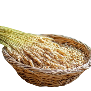 SURAJ Barley Whole W/ Skin 200 gm