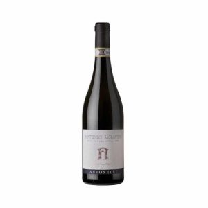 ANTONELLI SAGRANTINO