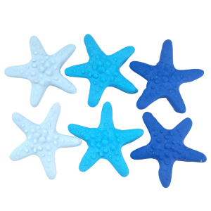 Blue Starfish Pack of 6