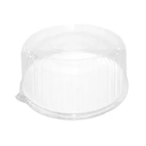 Dome K101