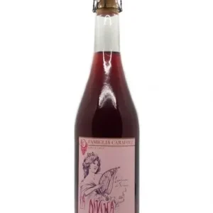 FAMIGLIA CARAFOLI “LA DIVINA” LAMBRUSCO DI SORBARA PÉT NAT