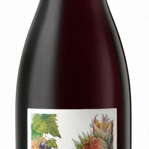 Saurwein Nom Pinot Noir 750Ml